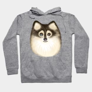 Sable Pomsky Hoodie